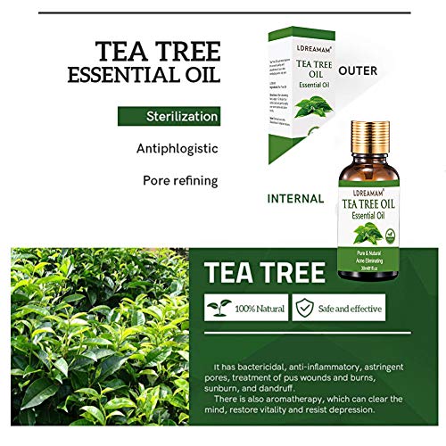 Aceite esencial de árbol de té,aceite de acné natural,El tratamiento para el acné, manchas y problemas de la piel,para la aplicación en pieles con impurezas