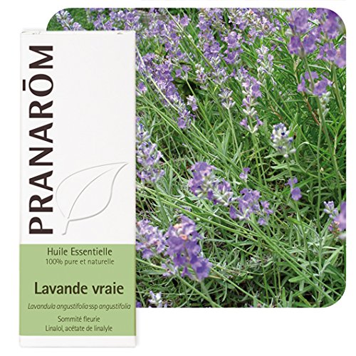 AEQT Lavanda Aceite Esencial BIO - Sumidad Floral