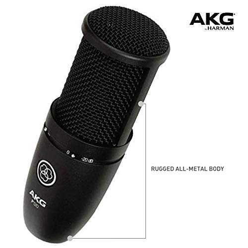 AKG - P120 Perception Micrófono Cardioide Vocal, Negro