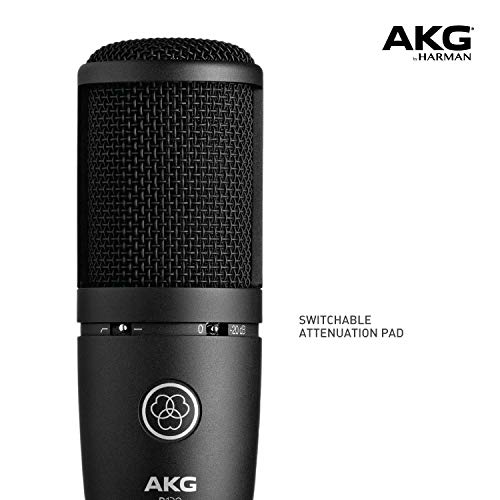 AKG - P120 Perception Micrófono Cardioide Vocal, Negro