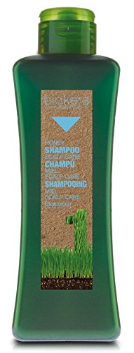 Champú Biokera Natura Scalp Care 1.000 ml Salerm Cosmetics