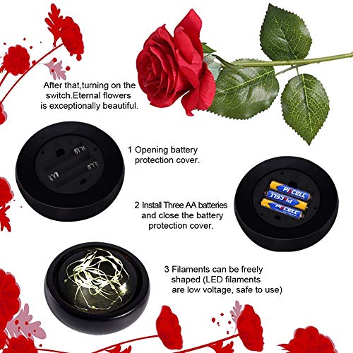 E-MANIS Kit de Rosas,La Bella y La Bestia Rosa Encantada,Elegante Cúpula de Cristal con Base Pino Luces LED,Beauty and Regalos Magicos Decoración para Día de San Valentín Aniversario Bodas