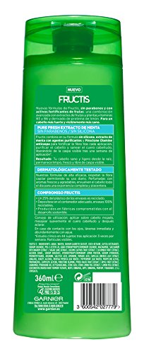 Garnier Fructis Champú Pure Fresh Menta Refrescante - 360 ml - [pack de 3]