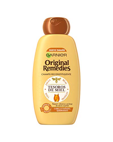 Garnier Original Remedies - Champú Reconstituyente Tesoros de Miel para Pelo Seco o Dañado, Quebradizo - 300 ml