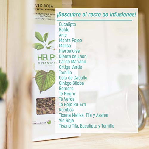 HELPS INFUSIONES - Té Verde A Granel 100% Natural. Infusión Diurética, Antioxidante, Quemagrasas. Bolsa A Granel De 100 Gramos.
