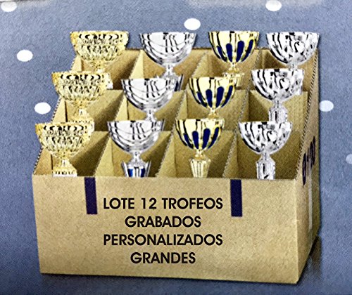 Lote 12 copas deportivas GRANDES grabadas trofeos personalizados baratos