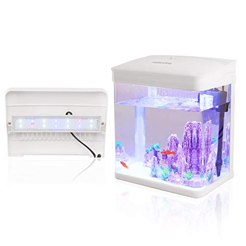 Nobleza - Acuario de Cristal con Cubierta y Luces LED. Sistema de Filtro de 7 litros. Color Blanco
