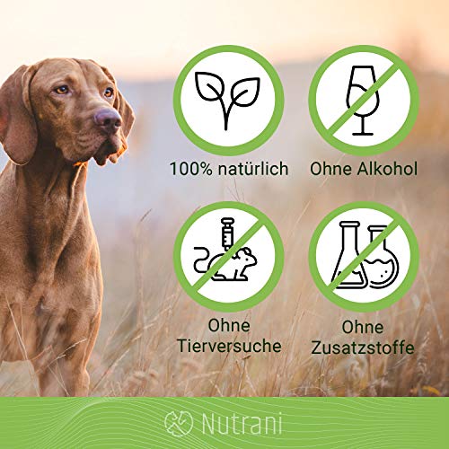 Nutrani Bálsamo de patas con cera de abeja para perros y gatos 100 ml – Bálsamo 100% natural – adecuado para el cuidado de las patas y la protección de las patas