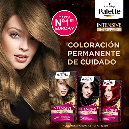 Palette Intense Cream Coloration Intensive Coloración del Cabello 6.1 Rubio Oscuro Ceniza - Pack de 3