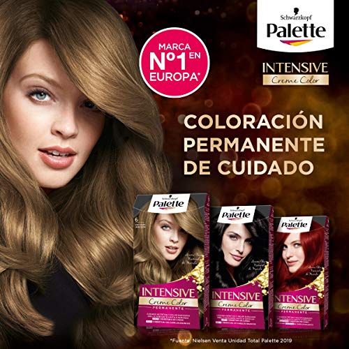 Palette Intense Cream Coloration Intensive Coloración del Cabello 6.88 Rojo Rubí - Pack de 3