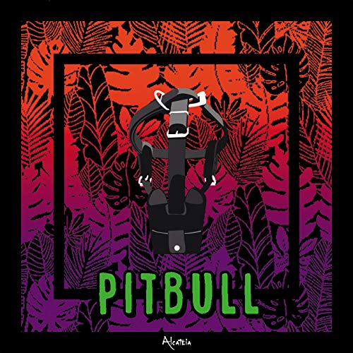 Pitbull [Explicit]