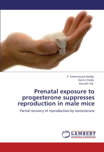 Prenatal exposure to progesterone suppresses reproduction in male mice: Partial recovery of reproduction by testosterone