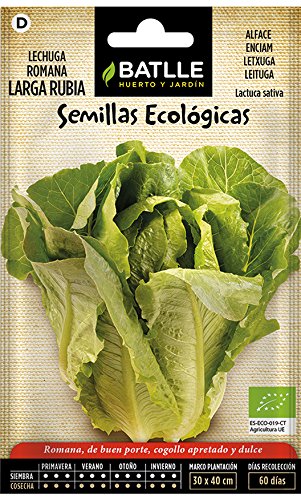 Semillas Ecológicas Hortícolas - Lechuga romana larga rubia - ECO  - Batlle