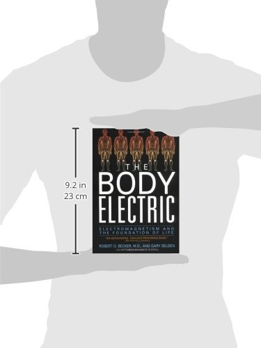 The Body Electric: Electromagnetism and the Foundation of Life