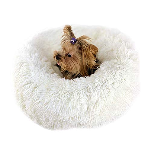 Vivi Bear Cama Gato Cama Perro Extra Suave Cómodo Lindo,Cojín de Gato Lavable de la Cama,Lecho Ovalado de Cueva de anidación Adecuado para Gatos y Perros pequeños y medianos