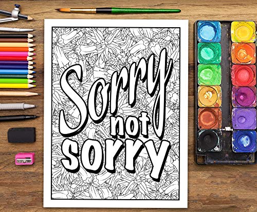 A Snarky Adult Colouring Book: I Run on Coffee, Sarcasm & Lipstick: Volume 1