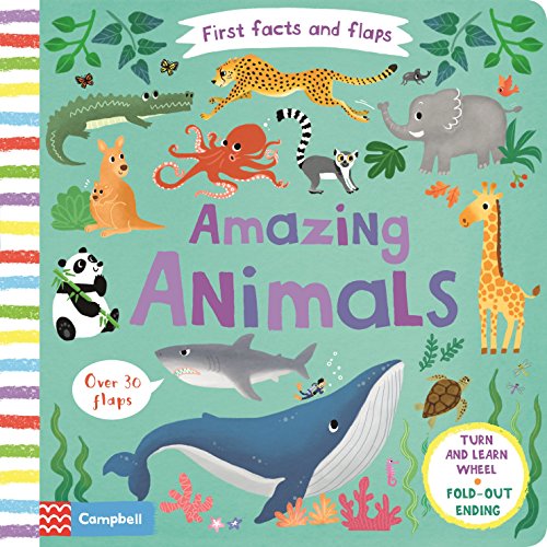 Amazing Animals (First Facts and Flaps)