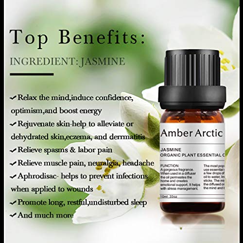 AMBER ARCTIC Jazmín Aceite Esencial Para Difusor, 100% Pura Terapia de Plantas Orgánicas Frescas Aceite de Jazmín 10Ml / 0.33Oz