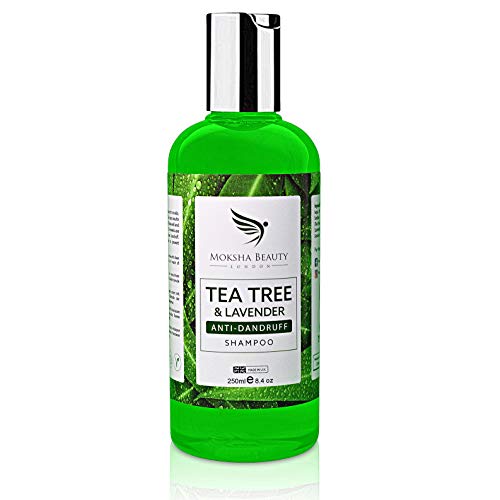 Champú AntiCaspa de Aceite de Arbol de Te - [Fabricado en U.K] Terapéutico | Mata las Bacterias del Cuero Cabelludo y el Cabello Escamosos con Picazón | Previene los Piojos-Hombres y Mujeres | 250ml