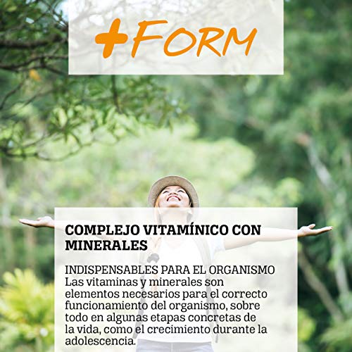 Complejo vitamínico con minerales, vitamina C, vitaminas B2, B3, B5, B6 y B12 así como hierro - multivitamínico para aumentar la energía y el bienestar de su cuerpo -90 cap