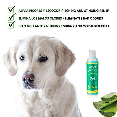 Disane Champú Para Perros Natural con Aloe Vera | 250ml | Mascotas Pieles Sensibles y Atópicas, con Heridas, Dermatitis o Eccemas | accesorios para perro | Sin clorhexidina