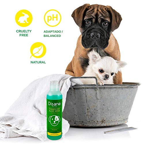 Disane Champú Para Perros Natural con Aloe Vera | 250ml | Mascotas Pieles Sensibles y Atópicas, con Heridas, Dermatitis o Eccemas | accesorios para perro | Sin clorhexidina