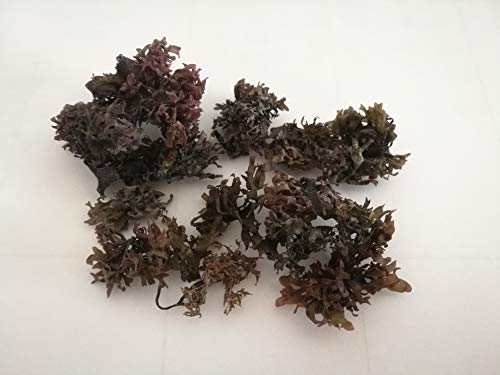 Dried Algae Red Seaweed,Algas Secas Algas Rojas 100g (pack of 2)