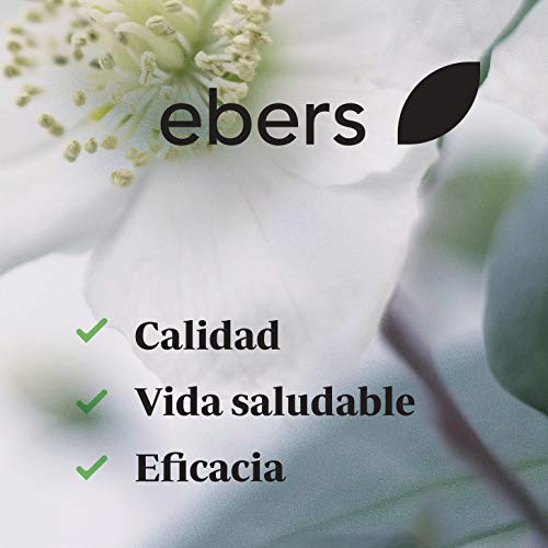 Ebers Aceite Natural de Almendras Dulces - 1000 ml