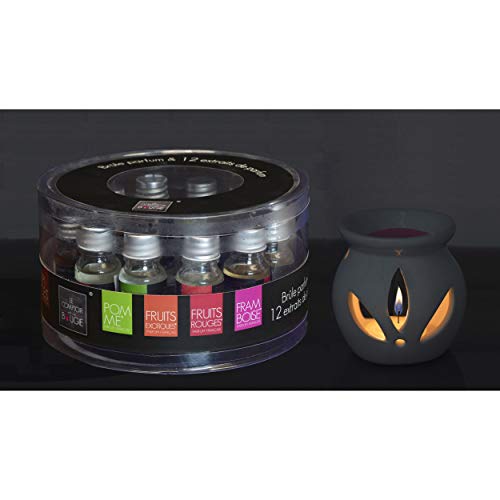 Hogar y Mas Aceites Esenciales para Humidificado y Difusor, Aromaterapia Set 12. Quemador de Aceites Lavanda, Frutas, Jazmín