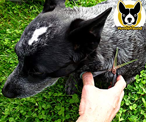 Hundefreund Set de Tijeras para Perros con Tijera de Entresacar, para el Cuidado del Pelaje de Cualquier Raza | Las Tijeras están Hechas de Acero Inoxidable con Punta Redondeada