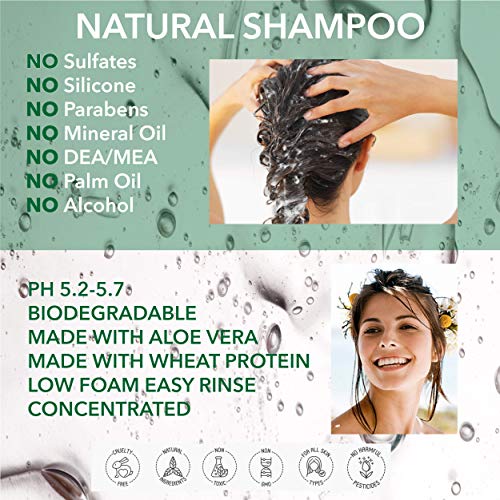 NATURAL - CHAMPÚ para CABELLO RIZADO - Con ACEITE DE ARGÀN, COCO Y NARANJA DULCE - 250ml - por POO FREE - Sin Sulfatos, Sin Parabenos, Sin Silicona. Concentrado, Fàcil de Enjuagar.