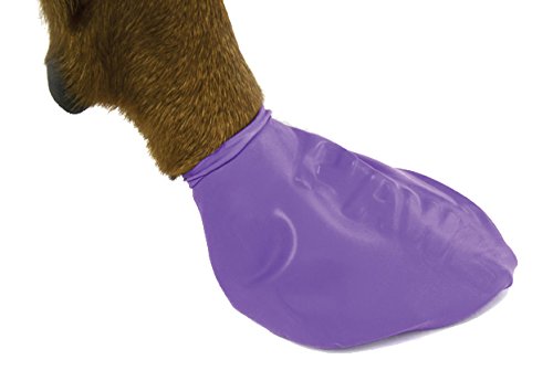 Pawz Dog Boots Botitas de Goma para Perros de Tamaño Grande - 12 Botitas