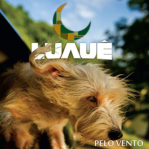 Pelo Vento