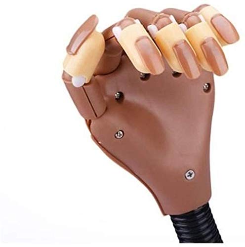 Práctico brazo de maniqui con uñas postizas para una practicar y para formación, flexible tanto el brazo y los dedos + 100 uñas postizas
