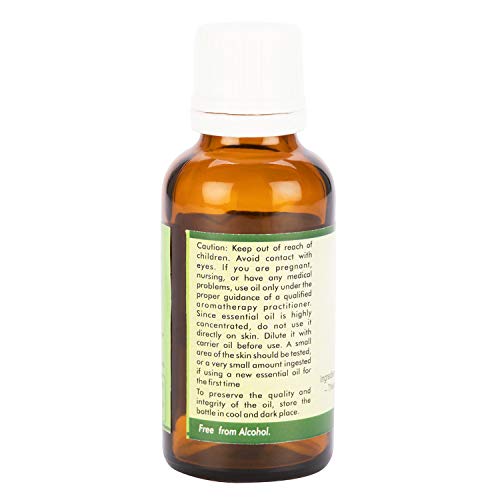 R V Essential Aceite esencial puro de ciprés 30ml (1.01oz)- Cyperus Seariosus (100% puro y vapor natural destilado) Pure Cypress Essential Oil