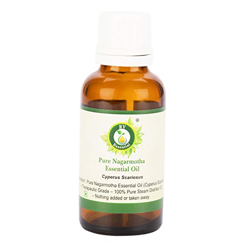 R V Essential Puro Aceite Nagarmotha esencial de 100ml (3.38oz)- Cyperus Scariosus (100% puro y vapor natural destilado) Pure Nagarmotha Essential Oil