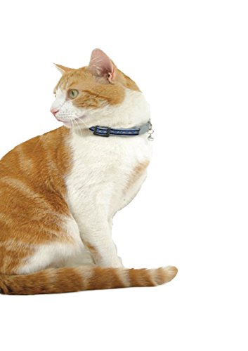 Red Dingo Collar Reflectante para Gato