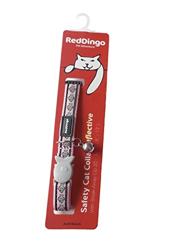 Red Dingo Collar Reflectante para Gato