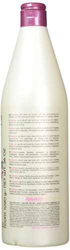 Salerm Cosmetics Champú Hi-Repair - 1000 ml