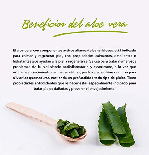 TABAIBA Aleo Vera Soap, Jabón de Glicerina con Aloe Vera, 125 gr