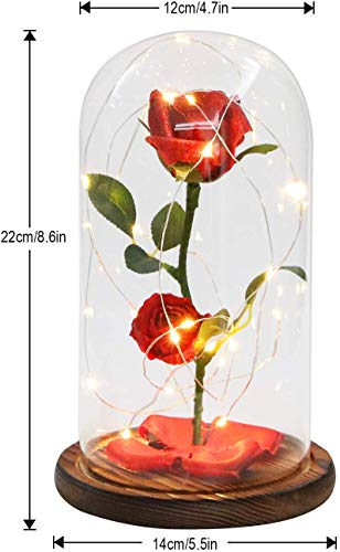 TEAMO Rosa Bella y Bestia,Flor Bella y Bestia,Elegante Cúpula de Cristal con Base Pino Luces LED,Beauty and Regalos Magicos Decoración para Día de San Valentín Aniversario Bodas