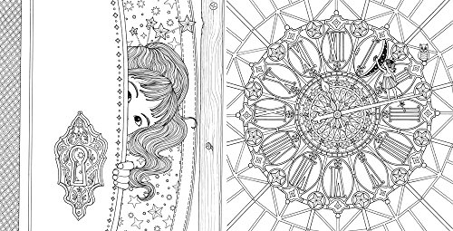 The Time Chamber: A Magical Story and Coloring Book (Time Adult Coloring Book)