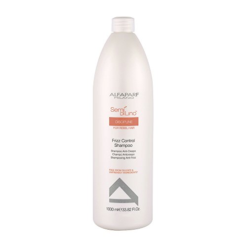 Alfaparf Champu Frizz - 1000 ml.