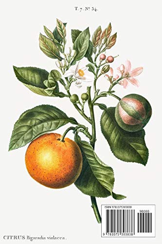 Designer Notizheft: liniert mit Motiv "Bitterorange (Citrus Bigaradia violacea)" von Pierre-Joseph Redouté, Notebook, Schreibheft etwa A5 (15,3 x 22,9 ... stilvolle Geschenkidee für Gartenliebhaber