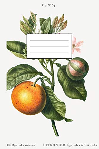 Designer Notizheft: liniert mit Motiv "Bitterorange (Citrus Bigaradia violacea)" von Pierre-Joseph Redouté, Notebook, Schreibheft etwa A5 (15,3 x 22,9 ... stilvolle Geschenkidee für Gartenliebhaber