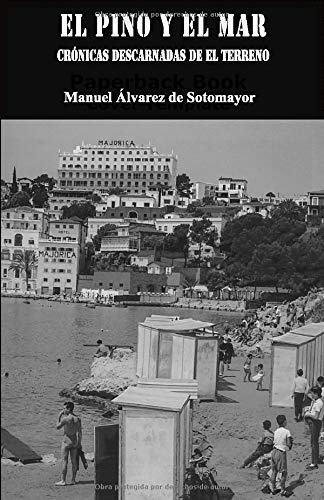 El pino y el mar: Crónicas descarnadas de El Terreno