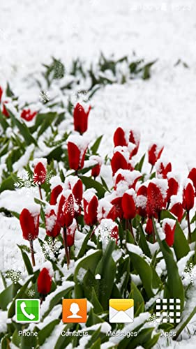 Flores de Invierno Live Wallpapers