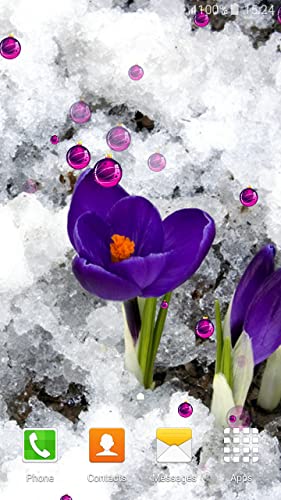 Flores de Invierno Live Wallpapers