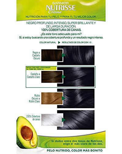 Garnier Nutrisse Creme Coloración Nutritiva Permanente, Tinte 100% Cobertura de Canas con Mascarilla Nutritiva de 4 Aceites - Tono 1 Negro