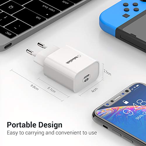 GlobaLink Cargador Rapido iPhone MFi Certificado, 18W Cargador de Pared USB C + 2M Cable USB C a Lightning - Power Delivery 3.0 Carga Rápida para iPhone SE 2020/11 Pro Max/11 Pro/11/Xs MAX/XS/XR/X/8